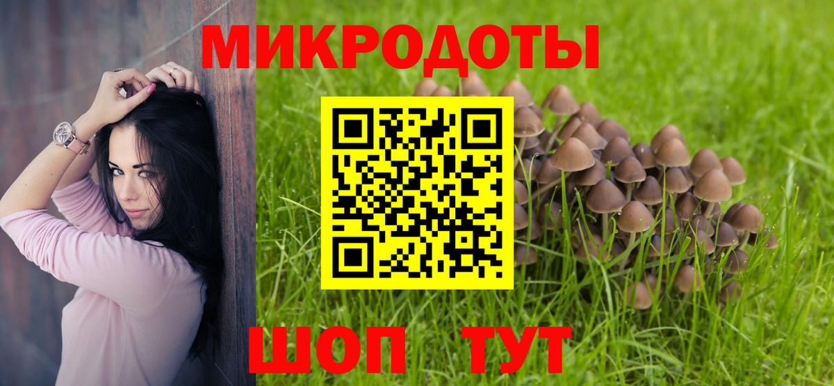 Галлюциногенные грибы Psilocybine cubensis Рубцовск